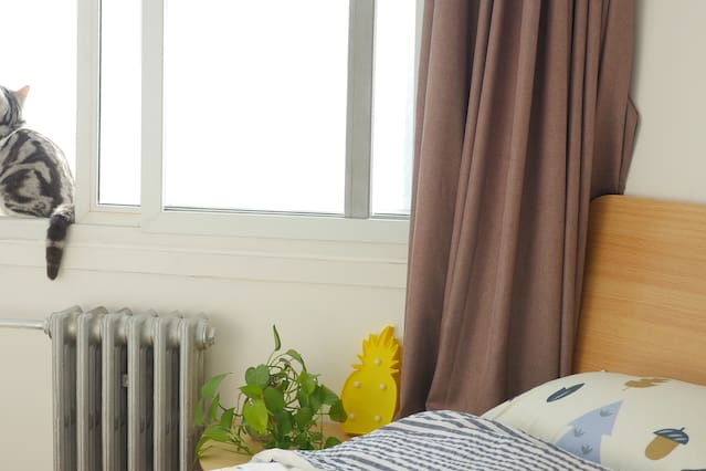 PG电子官网产品名称一